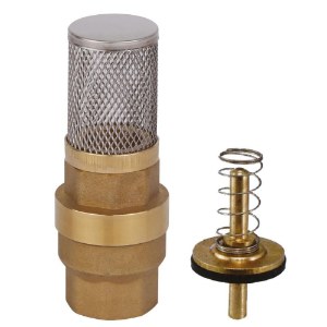 Foot Valve