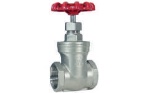 S.S Gate Valve