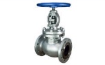 API Globe Valve