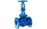 Globe Valve with Bellow Seal