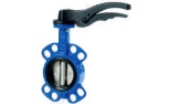 Butterfly Valve (Lug)