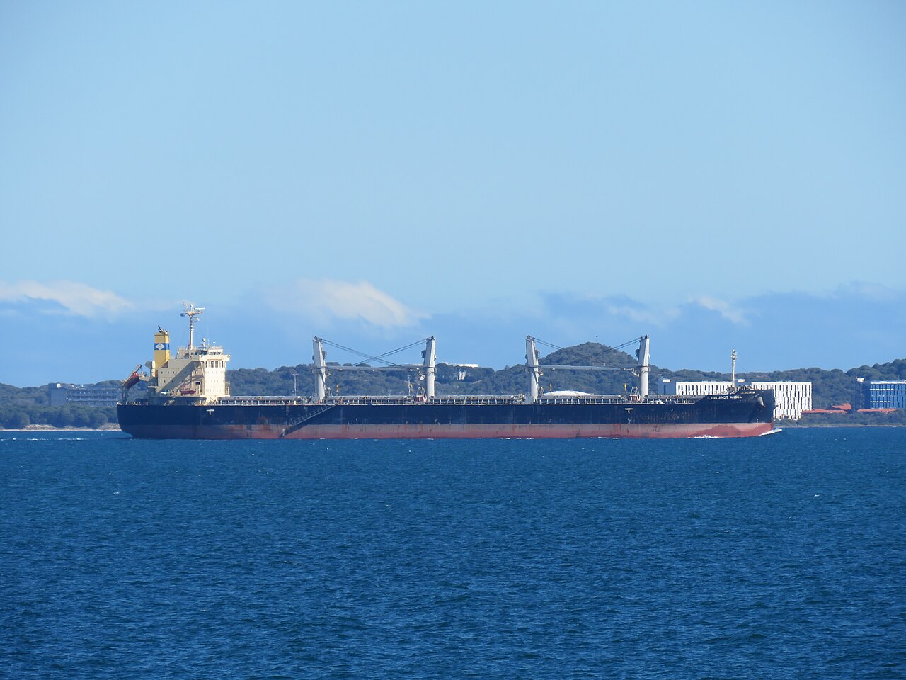 Bulk carrier at sea — marine and shipping supply